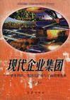 現(xiàn)代企業(yè)集團資本經(jīng)營、集團化擴張與工商管理實務(wù)