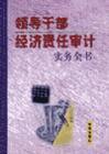 領(lǐng)導(dǎo)干部經(jīng)濟責(zé)任審計實務(wù)全書