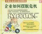 中國企業(yè)成功案例精選